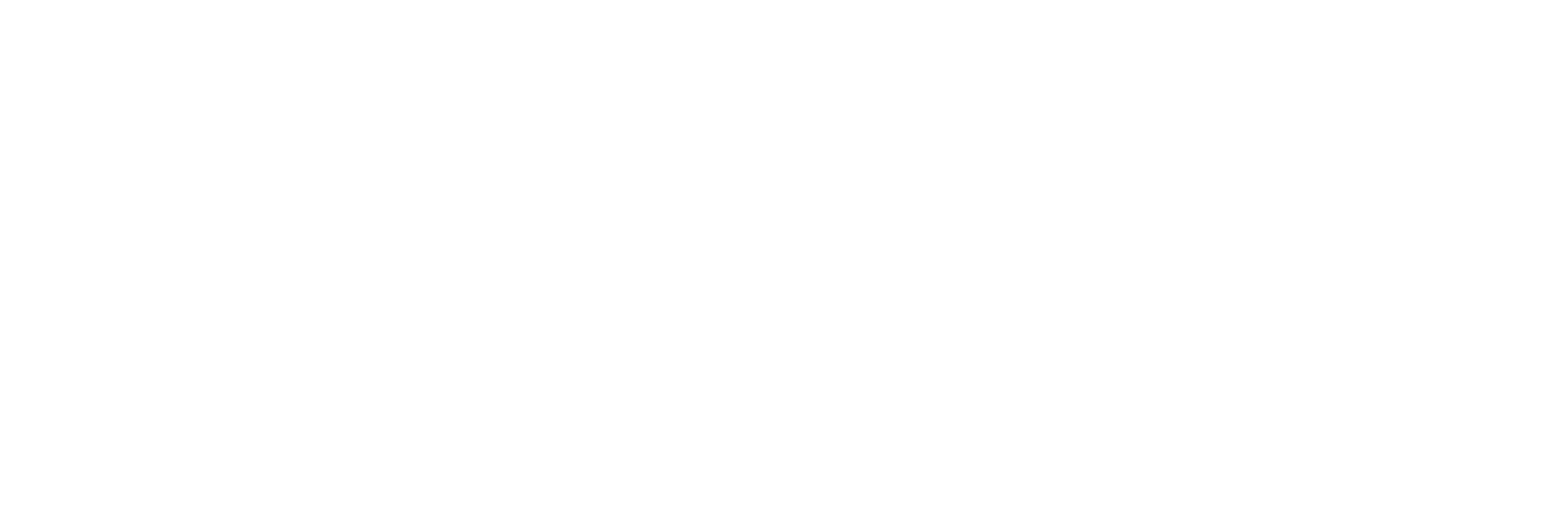 Bridge Interpreting Partners Logo